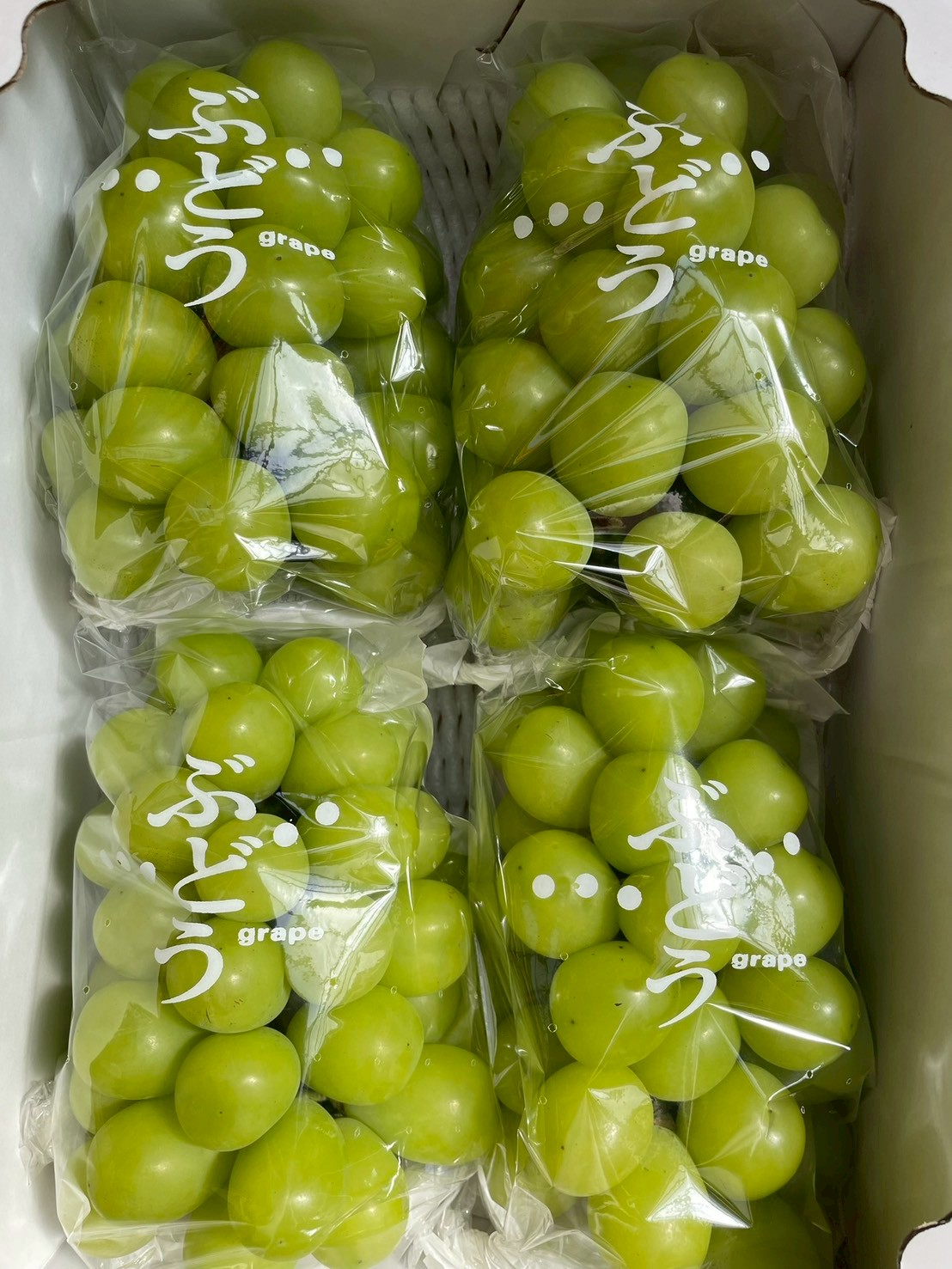 出荷