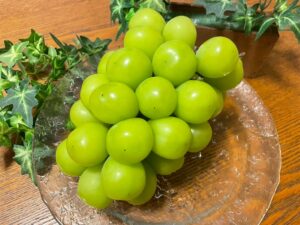 【ハウス栽培】シャインマスカット（贈答用）2kg（4〜5房）