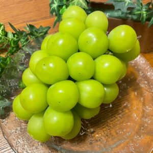 【ハウス栽培】シャインマスカット（贈答用）2kg（4〜5房）