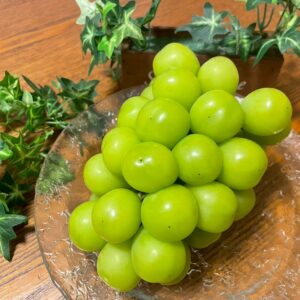 【ハウス栽培】シャインマスカット（贈答用）1.2kg（2房）