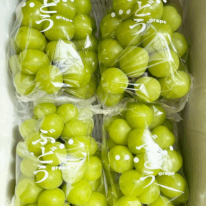 【発送時期9月上旬〜10月上旬まで】シャインマスカット（贈答用）2kg（4〜5房）