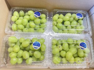 【発送時期8月上旬〜8月下旬まで】シャインマスカット（粒売り）約2kg（500g×4） - 画像 (3)