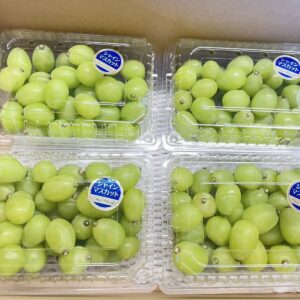 【発送時期9月上旬〜9月下旬まで】シャインマスカット（粒売り）2kg（500g×4）