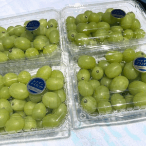 【発送時期9月上旬〜10月上旬まで】シャインマスカット（粒売り）2kg（500g×4）
